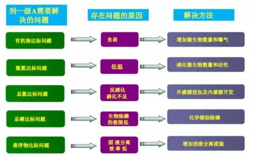 思普潤(rùn)MBBR工藝助力太原城南污水廠不停水改造與準(zhǔn)IV類提標(biāo)，驅(qū)動(dòng)工程與材料服務(wù)新進(jìn)展
